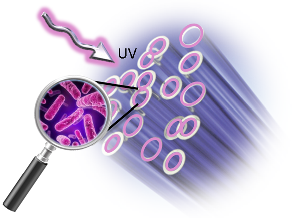 Innovation consortium BIOFORS